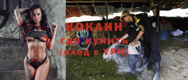 дживик Алзамай