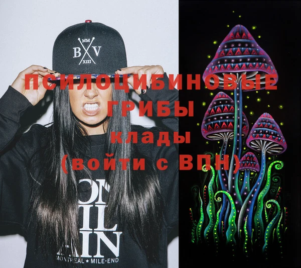 дживик Алзамай