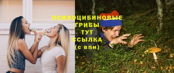 метамфетамин Алексин