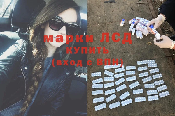 дживик Алзамай